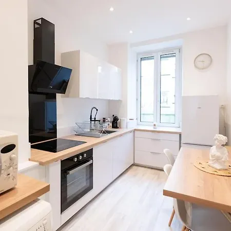 Appartement Entierement Renove Et Cosy Avec Jardin Mulhouse Exterior photo
