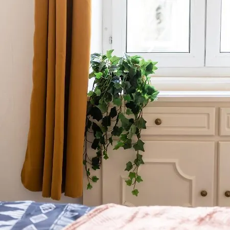 Appartement Entierement Renove Et Cosy Avec Jardin Mulhouse Exterior photo